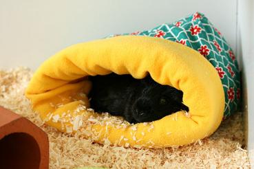 Kuschelsack / Kuschelhöhle für Meerschweinchen und Igel