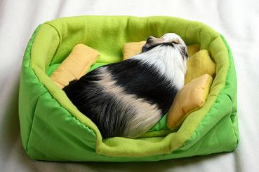 Meerschweinchen Kuschellounge Kuschelbett Bett Kuschelkörbchen