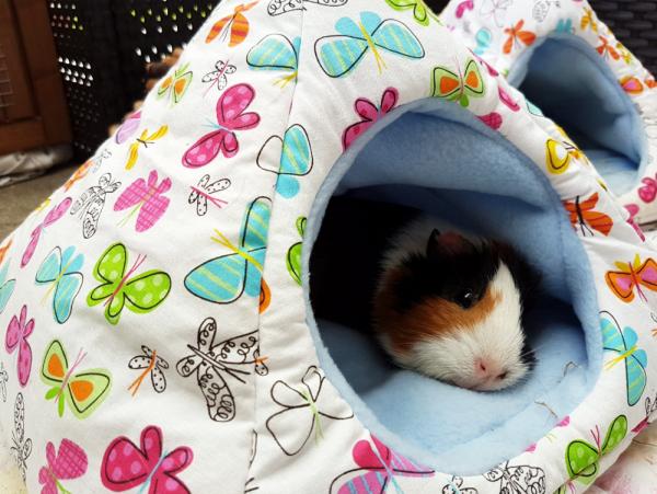 Kuschelhöhle / Kuschelzelt für Meerschweinchen und Igel