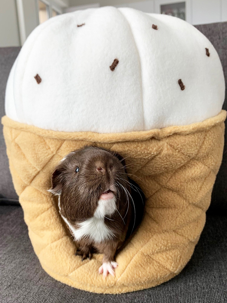 Kuschelhöhle für Meerschweinchen