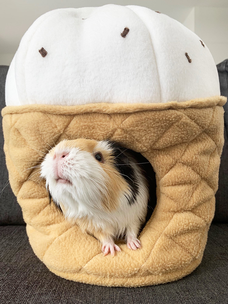 Kuschelhöhle für Meerschweinchen